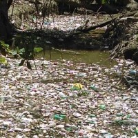CAÑADA BASURA