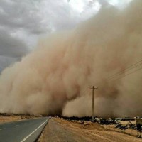 TORMENTA ARENA 3