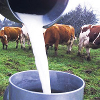 Leche