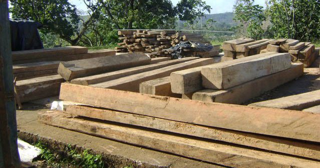 Medio Ambiente solicita castigo para oficial policial entregó sin autorización camión cargado de madera incautada