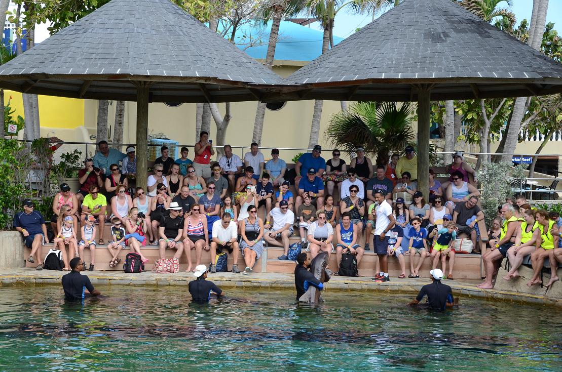 Semana Santa 2016 en Ocean World