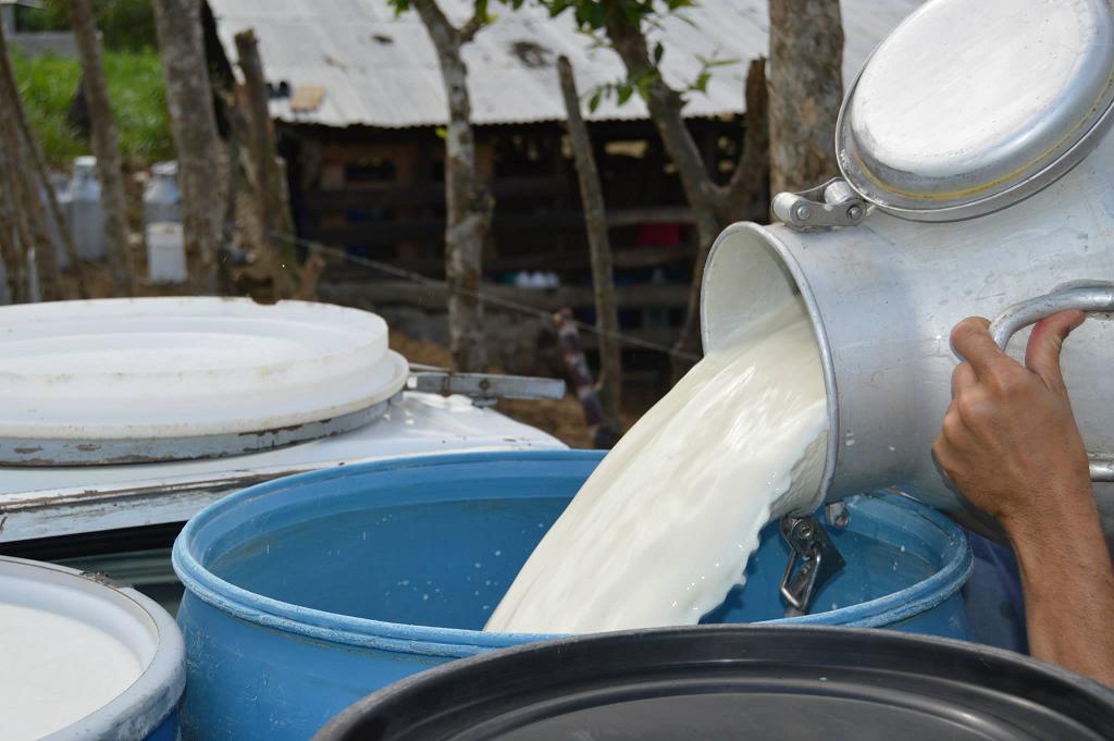 Buscan estabilizar el precio de la leche