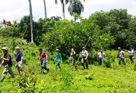 Turistas del Adonia Fathom han plantado 6 mil plantas en Yásica