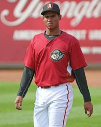 Puertoplateños Johan Cruz, Juan Martínez y Edgar Santana al Draft Beisbol Invernal Dominicano 2016