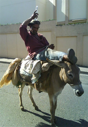 El Burro y la Botellita