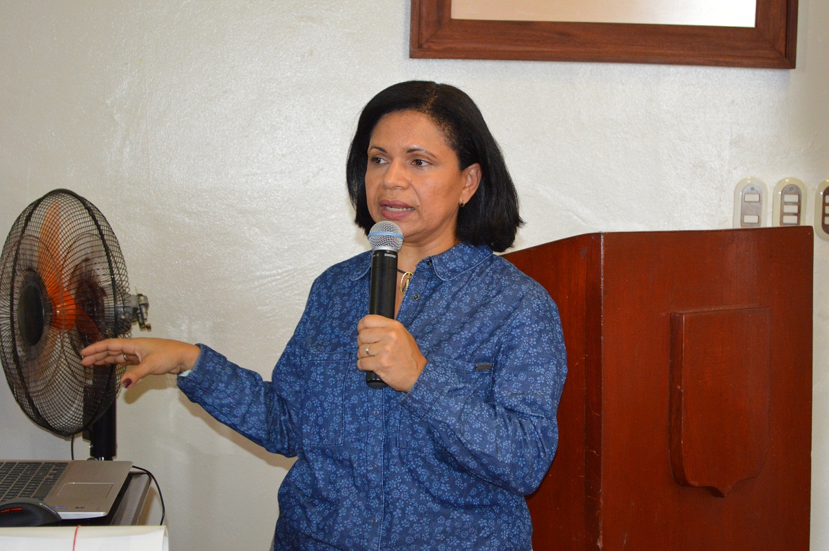 comisión de Planeamiento Urbano interpelará a Directora del Ceiztur sobre inicio del parqueo municipal sin permiso