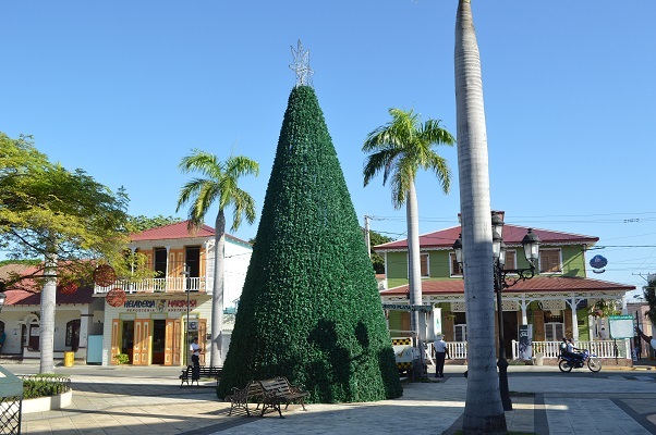Alcaldía y Concejo de Regidores encederán este viernes árbol y decoración navideños de Plaza Independencia
