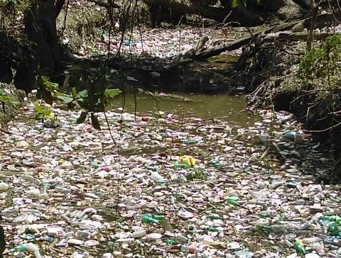 La Puerto Plata que Queremos