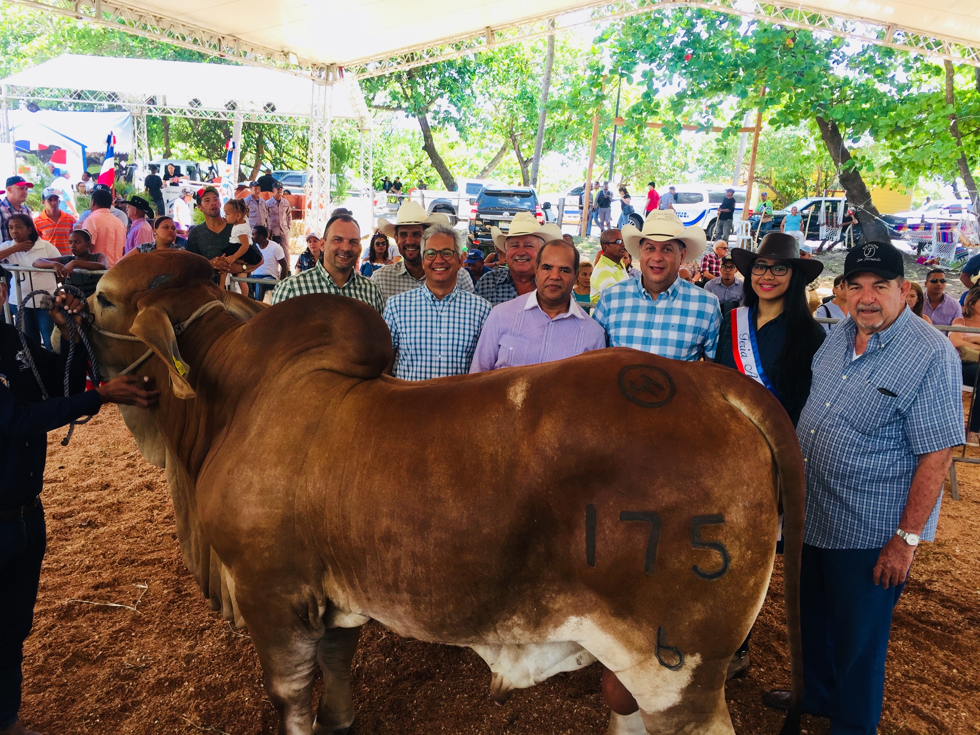 Ejemplares de Rancho San Fernando de Nano Ortega Brugal barre en Feria Ganadera del Norte