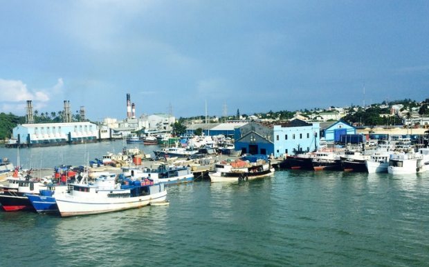 Vicepresidente de SINEPOA niega que navieros y bloque portuario se opongan a construcción terminal de cruceros