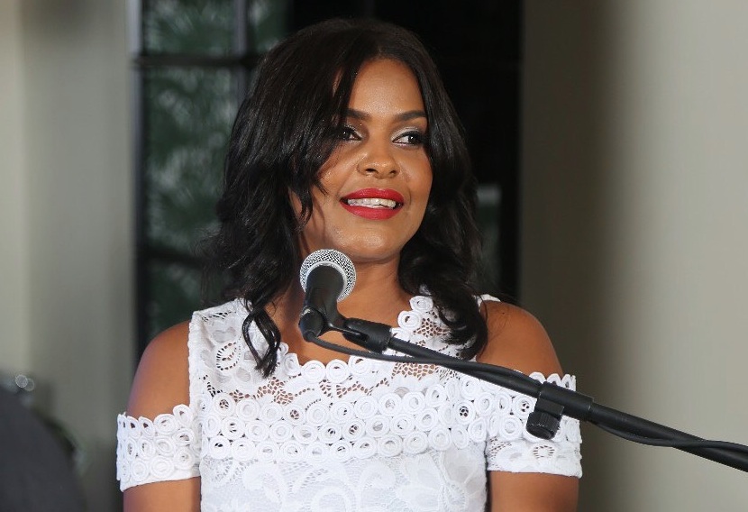 Presidenta de Adompretur Sosúa-Cabarete propone crear mesa de trabajo busque soluciones afectan turismo