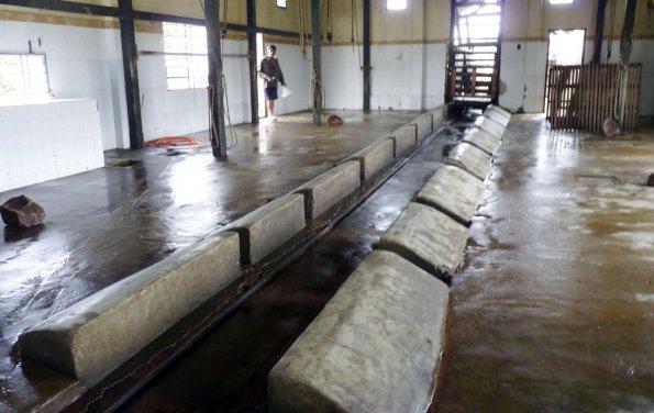 Alcalde Walter Musa anuncia Ayuntamiento o sector privado solucionarán falta de matadero municipal