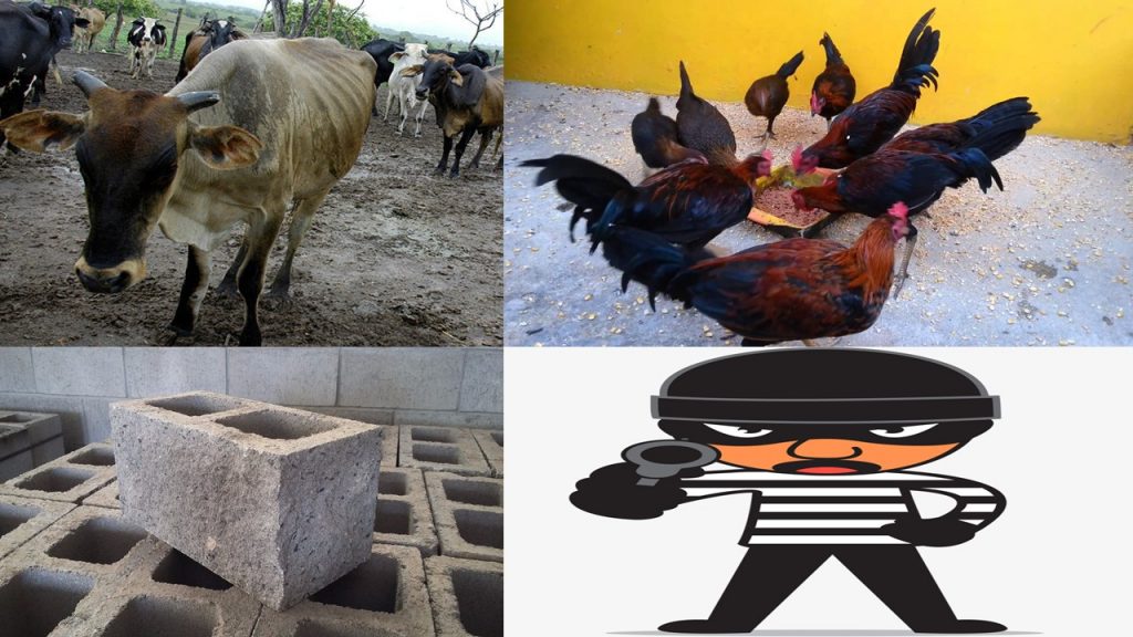 Peligrosa banda de ladrones mantiene en zozobra zona de Yásica Arriba, ante inacción de Policía Nacional