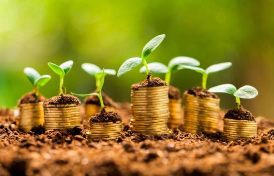 La crisis económica pos-COVID-19, oportunidad para las medidas “verdes”