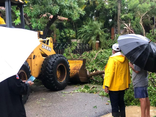 Alcalde de Puerto Plata dirige operativos retiro árboles derribados por tormenta Isaías