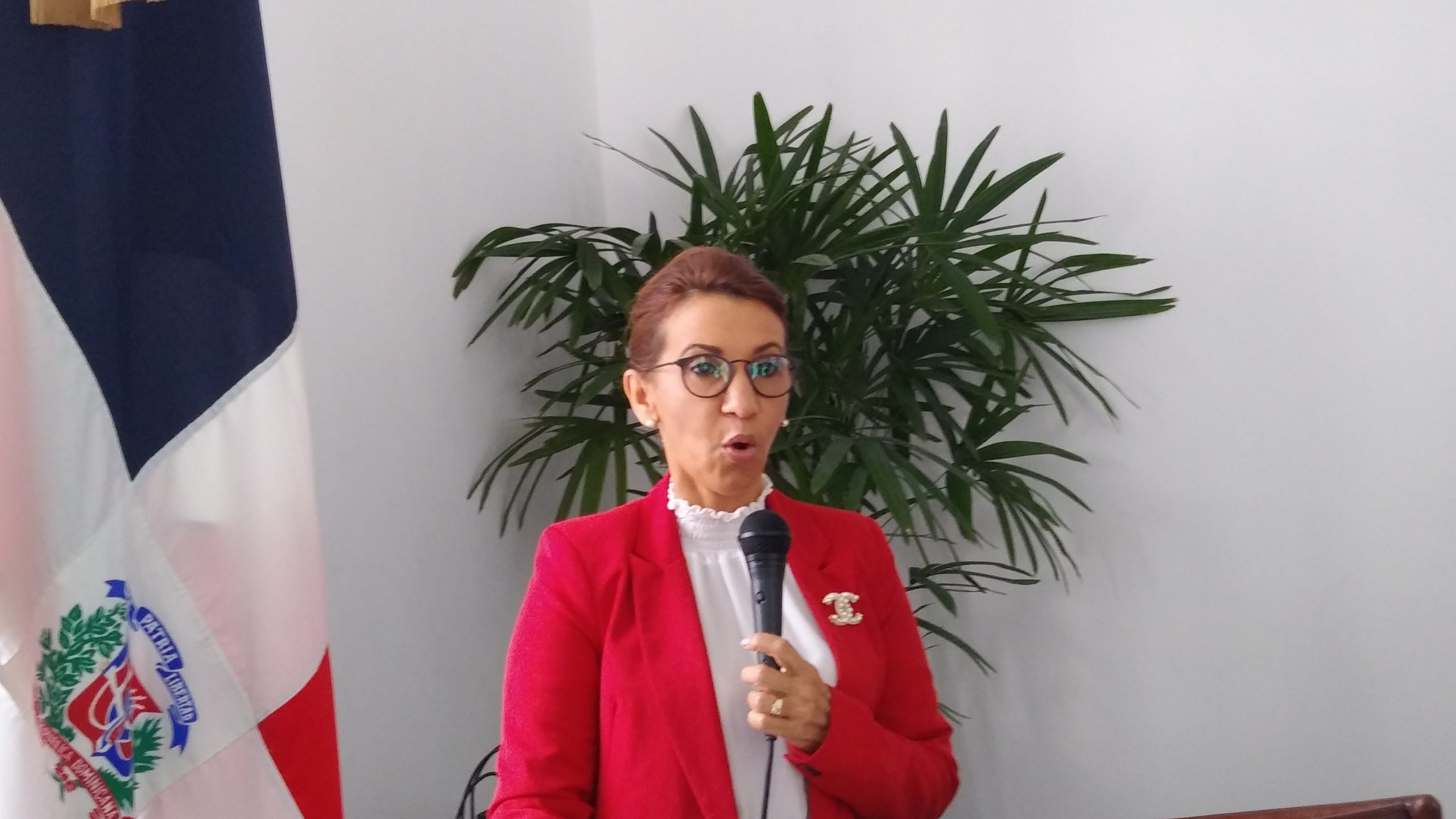 Gobernadora de Puerto Plata anuncia programa de seguridad para navidad y año nuevo