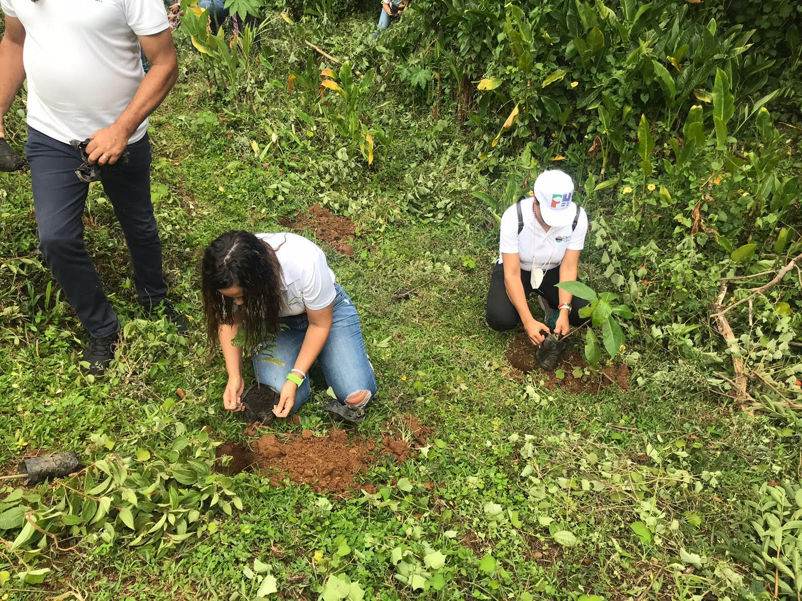 Cámara de Comercio de Puerto Plata conmemora mes del medio ambiente con jornada de reforestación