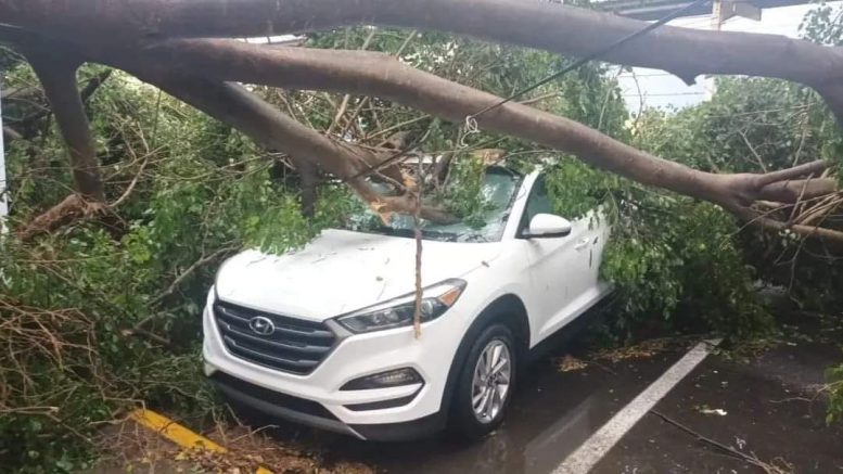 Ventarrón afectó 15 viviendas y seis vehículos