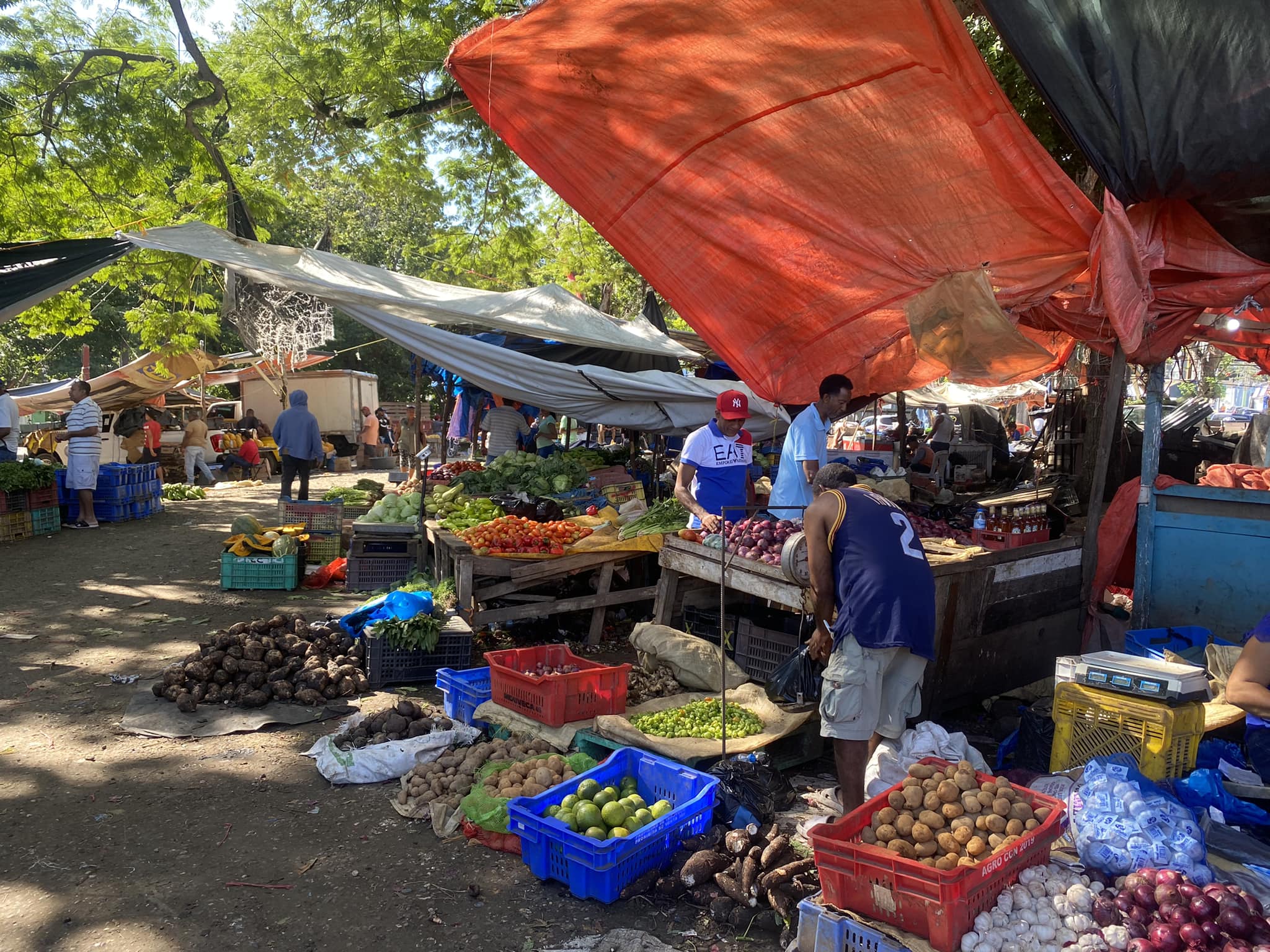 Mercader de Los Nísperos denuncia irregularidades y favoritismo en distribución de módulos de la Plaza Municipal