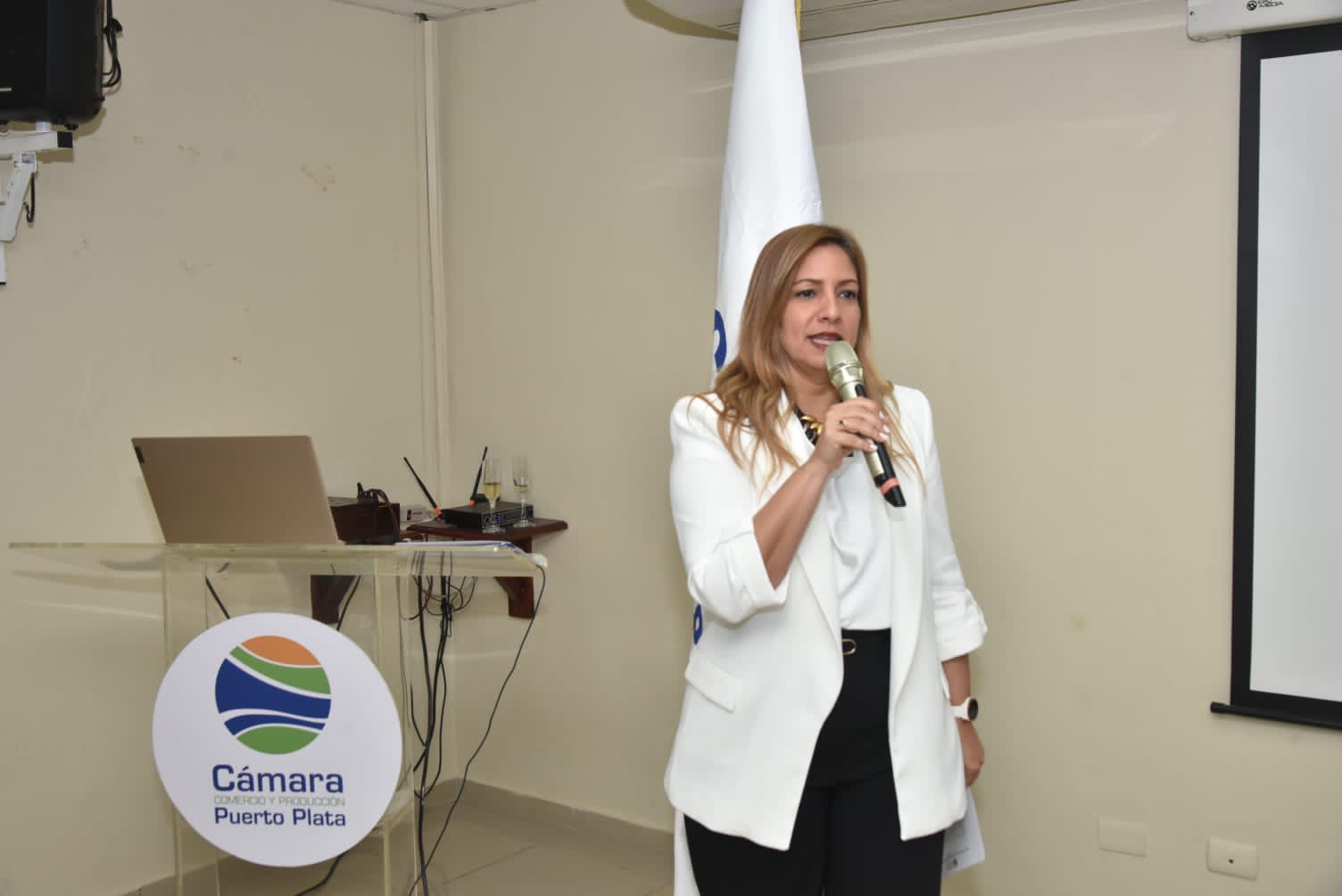 Presidenta Cámara de Comercio preocupada por lentitud de autoridades para resolver problemáticas afectan a Puerto Plata